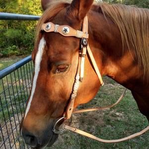 Meet your Posher, Peggy